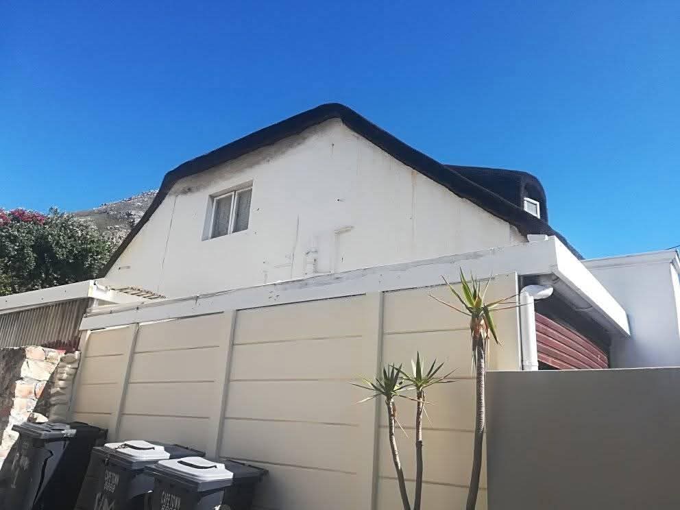 MTP Painters Project 5